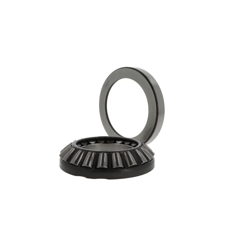 rotall-kugellagershop202605082218592961783