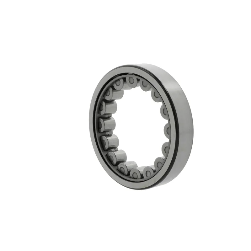 rotall-kugellagershop202605090335443013054