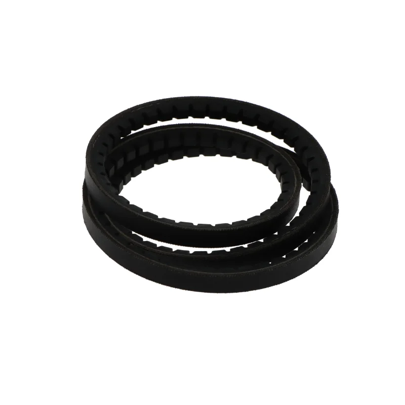 rotall-kugellagershop202605090807443054114