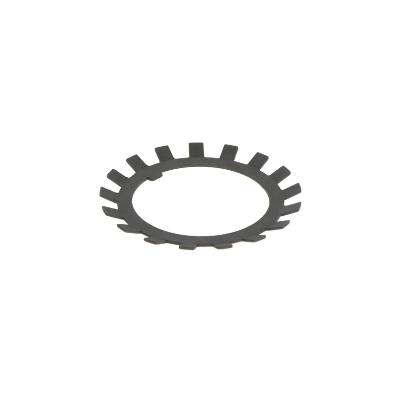 rotall-kugellagershop202605091023213073482